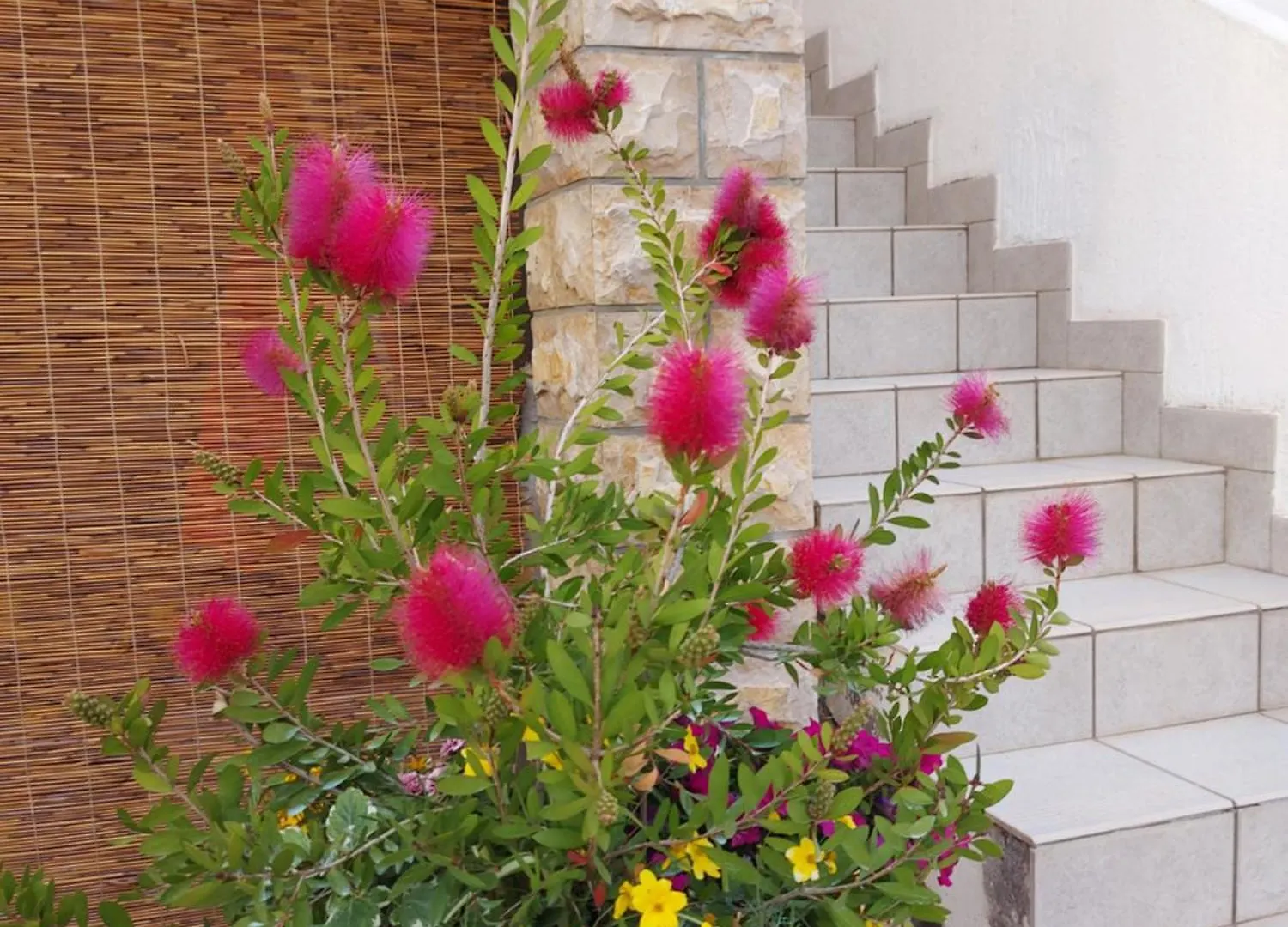 Rumora Ivan Apartment Povljana